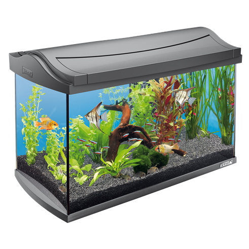 Ouate filtrante en mètre pour l'aquarium et étang, 300 g/m ²(EUR 15,96/m  ²), 1,5 m x 1 m, Environ 25mm d'épaisseur, 1,5 m ², Tapis en ouate pour l' aquarium : : Animalerie